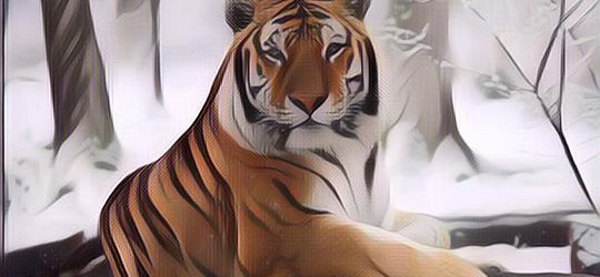 Duh, Harimau di Kebun Binatang Positif Covid-19, Gejalanya Mirip Manusia?