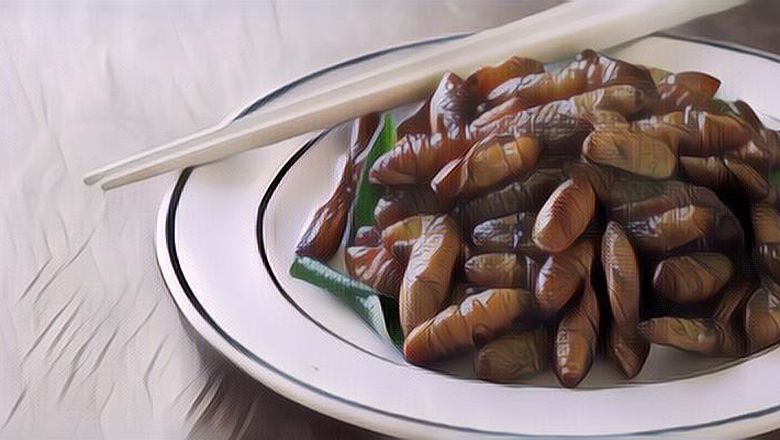 5 Negara yang Penduduknya Suka Makan Serangga, Termasuk Indonesia!