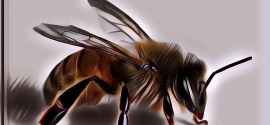 Terapi Sengat Lebah, Kenali Manfaat dan Bahayanya
