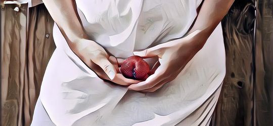 7 Makanan yang Bagus untuk Kesehatan Miss V, Bikin Keseimbangan pH Terjaga dan Mencegah Keputihan