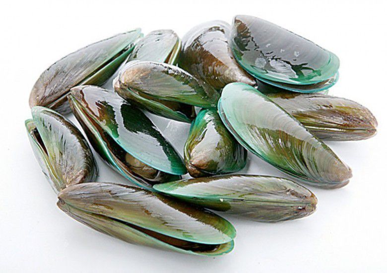7. Kerang