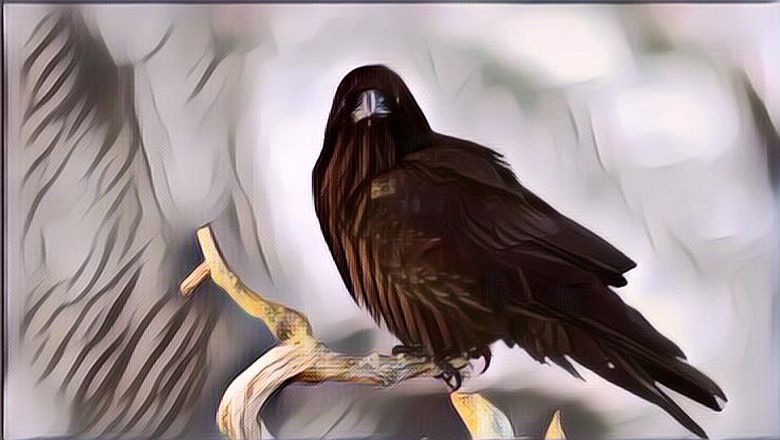 Dongeng Gagak Sang Pembohong Ingin Jadi Raja Hutan