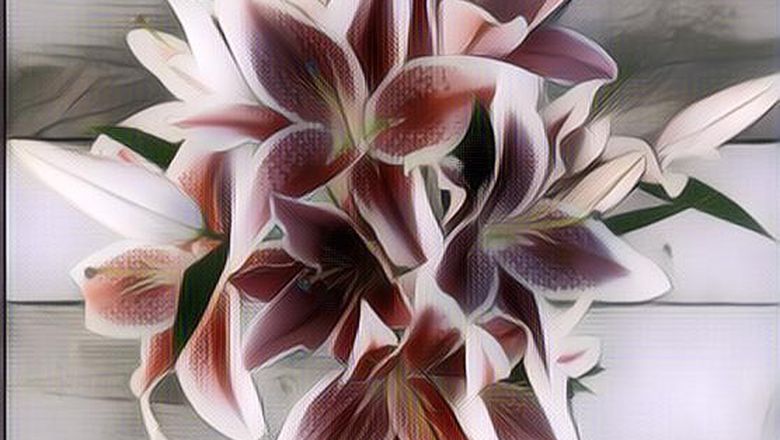 Mau Kasih Bunga Ke Pacar? Cari Tahu Dulu Maknanya Biar Gak Salah!