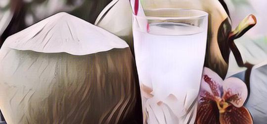 Beli Es Kelapa, Spanduknya Malah Seketika Bikin Salfok!