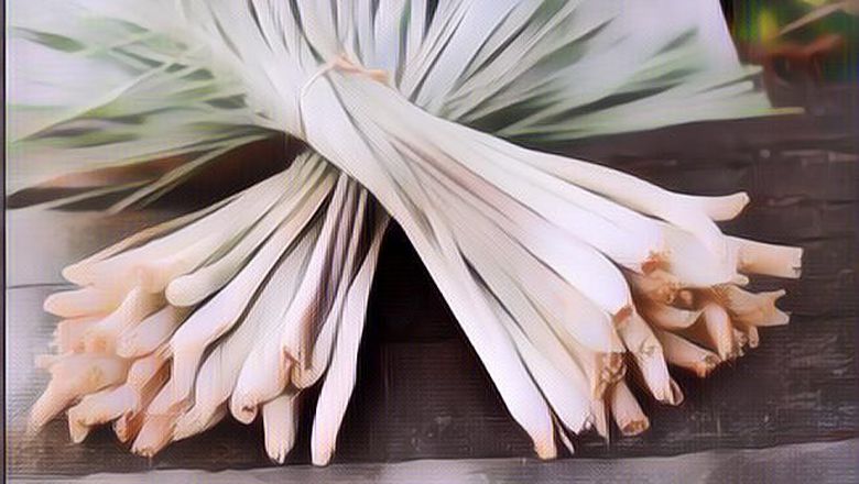 5 Manfaat Tak Terduga Sereh, Wajib Nyetok di Rumah Nih Mulai Sekarang!