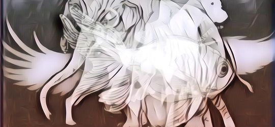 Gambar Hewan Apa yang Pertama Kamu Lihat? Gini Artinya