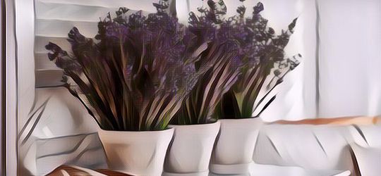 6 Tanaman Pengusir Nyamuk dengan Keharuman Alami, Bikin Rumah Makin Nyaman