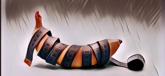 Deretan Alat Vital Paling Panjang Sampai Paling Pendek di Dunia